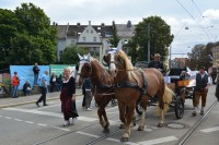 DSC_0054.JPG