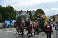 DSC_0055.JPG