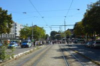 DSC_0067.JPG