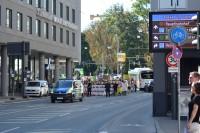 DSC_0137.JPG