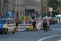DSC_0158.JPG