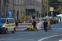 DSC_0159.JPG
