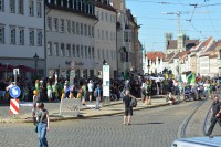 DSC_0225.JPG