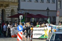 DSC_0237.JPG