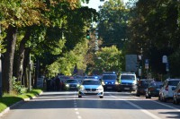 DSC_0335.JPG