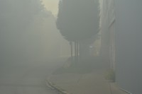 DSC_0693.JPG