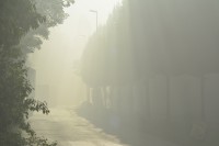 DSC_0721.JPG