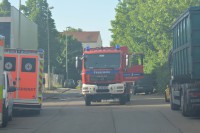 DSC_0726.JPG