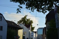 DSC_0846.JPG