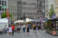 DSC_0878.JPG