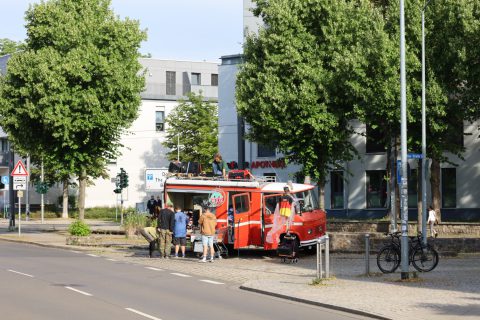 IMG_2669.jpeg