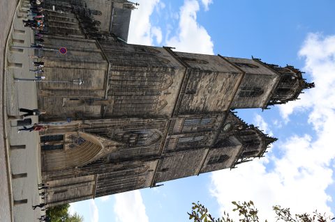 IMG_4667.JPG