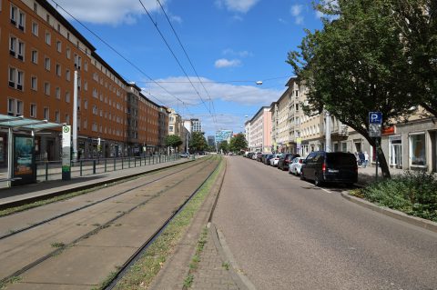 IMG_4686.JPG