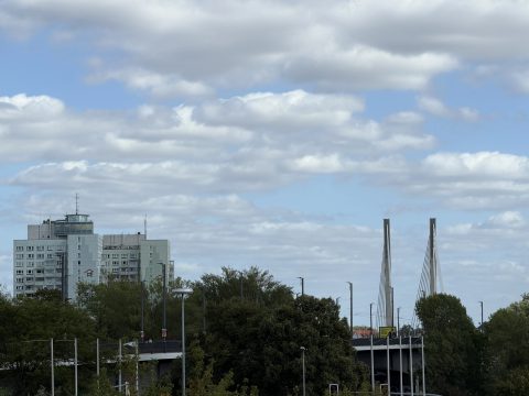 IMG_2923.webp