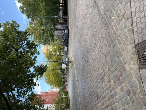 IMG_2917.JPG