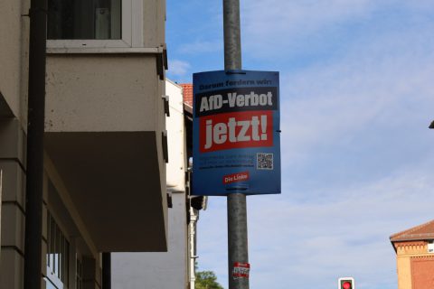 IMG_2668.jpeg