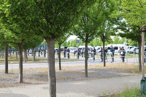 IMG_2687.jpeg